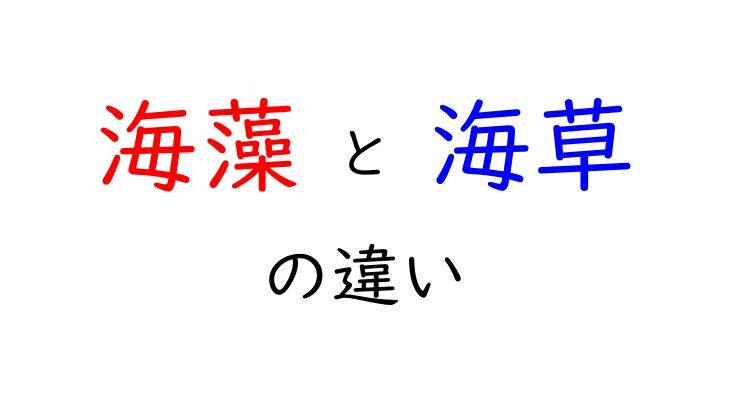 海藻と海草の違い