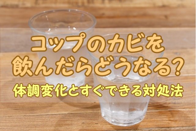 コップのカビを飲んだらどうなる？体調変化とすぐできる対処法